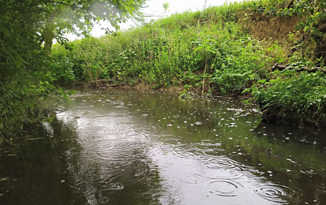 The 19 second pool in the rain